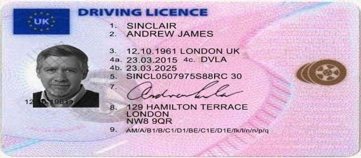 Driving Licence